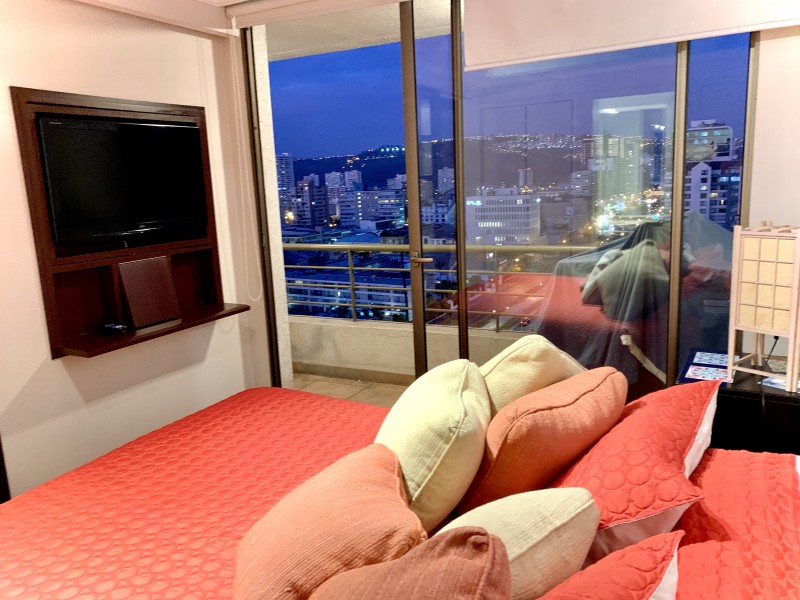 Arriendo Departamento en Viña Park 2 ,