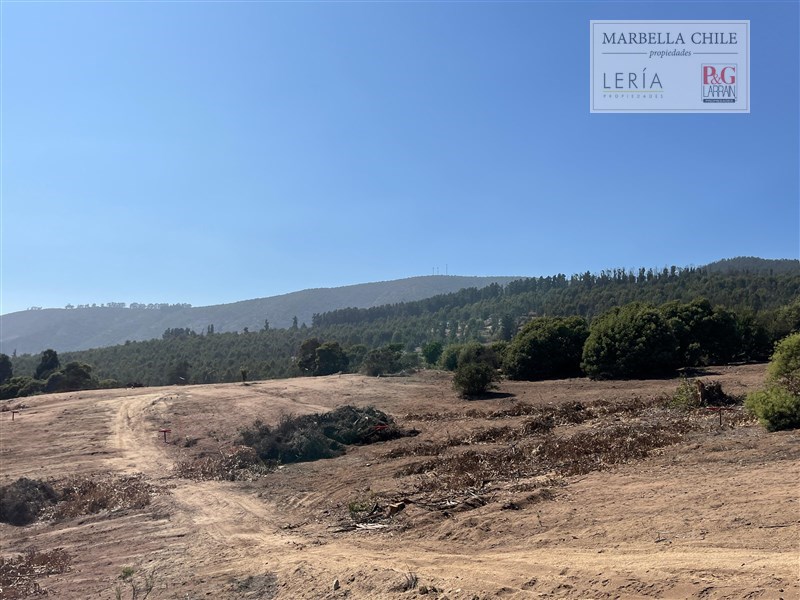 61 Terrenos en Marbella , para Compra Venta
