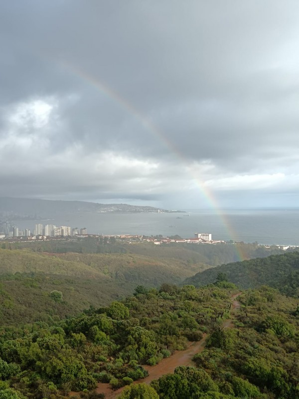 Parcela Lote 6, Camino las Dichas Ruta 840