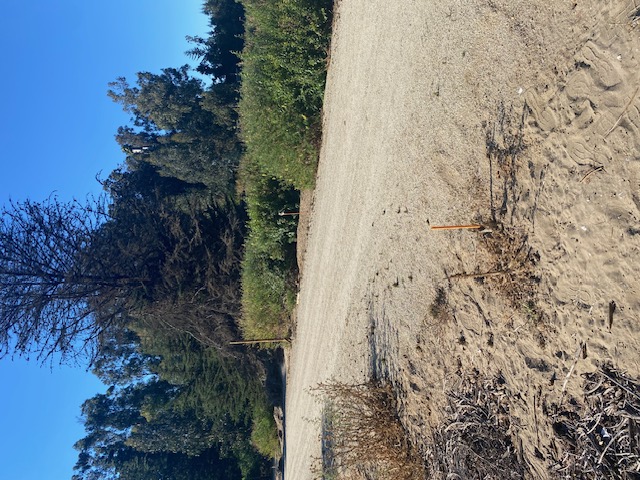 Terreno en Condominio, Ritoque, Impecable,