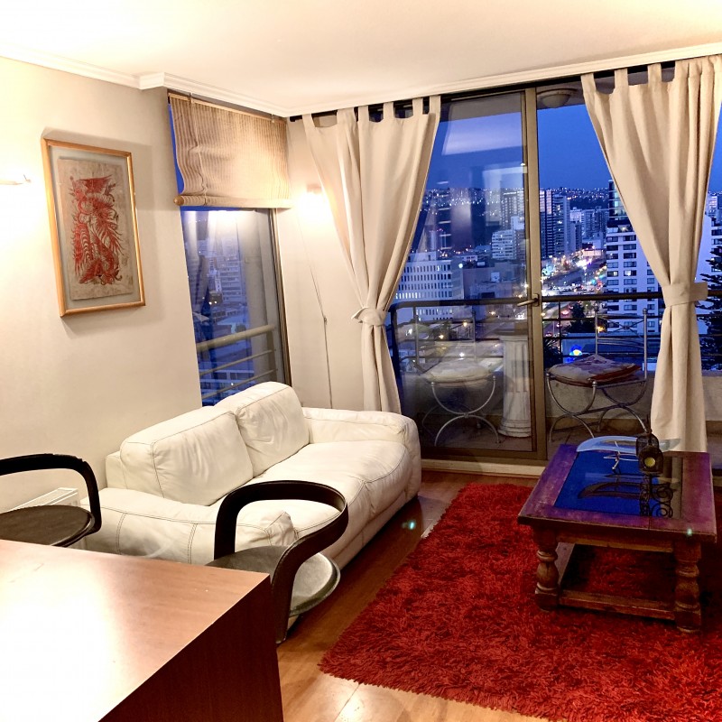 Arriendo Departamento en Viña Park 2 ,