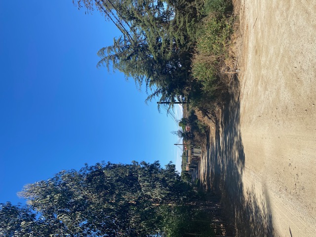 Terreno en Condominio, Ritoque, Impecable,