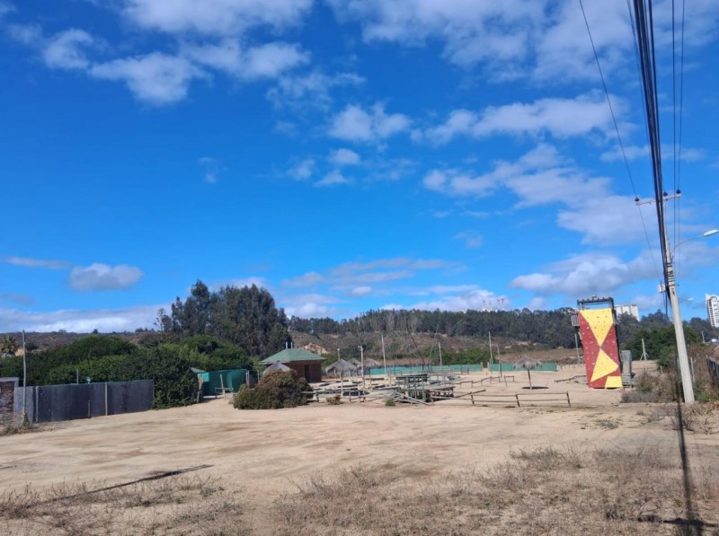 5000 Metros Algarrobo , Orilla Ruta