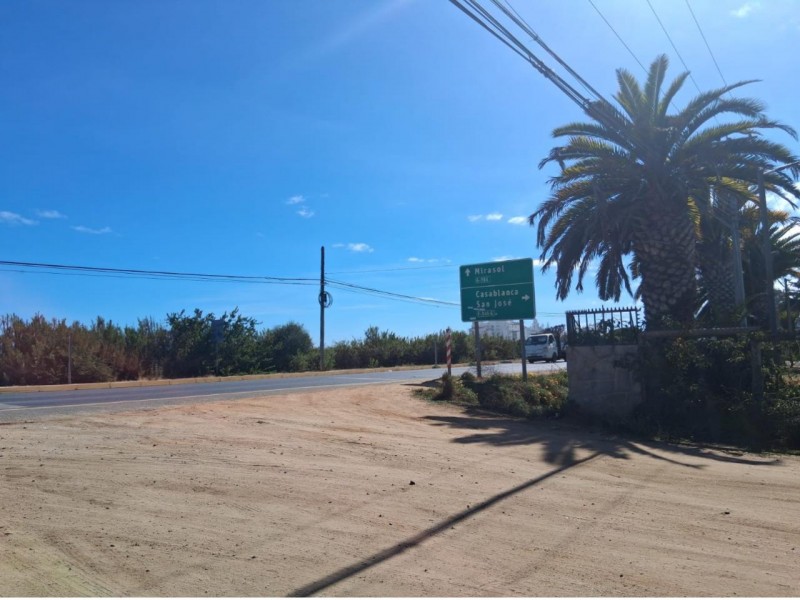 5000 Metros Algarrobo , Orilla Ruta