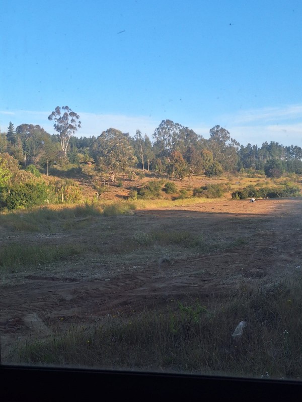 Parcela Lote 6, Camino las Dichas Ruta 840