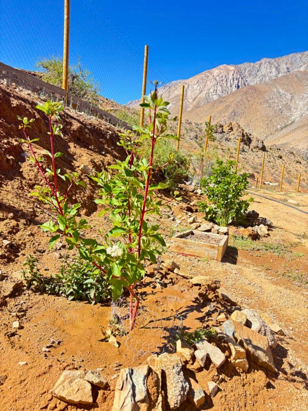 Cochiguaz, Valle del Elqui. Casa Moderna Negocio Cerrado