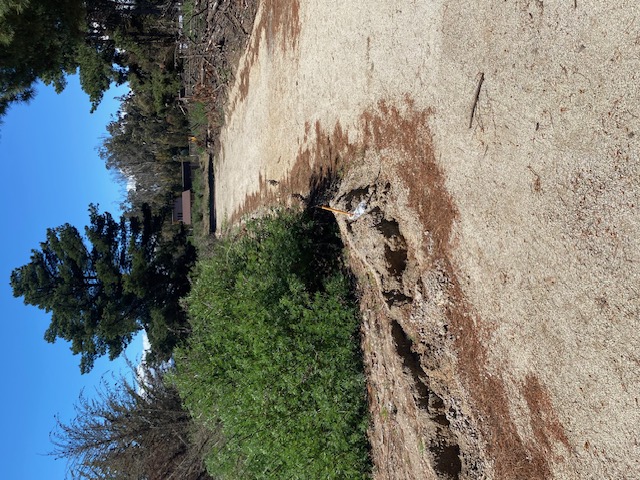 Terreno en Condominio, Ritoque, Impecable,