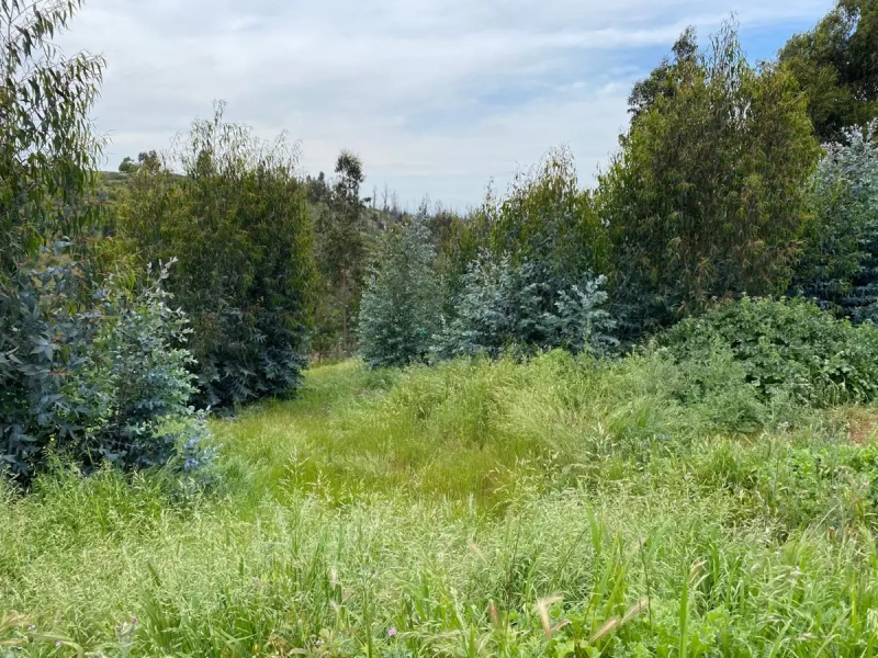 Venta de Terreno Sector las Gaviotas Concon