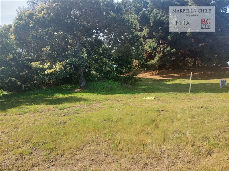 Sitio en Marbella, Impecable
