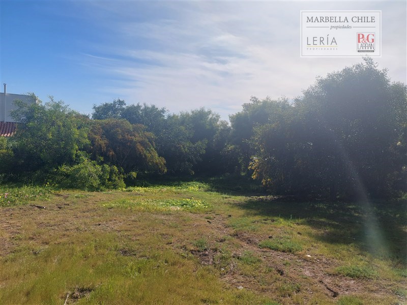 Sitio en Marbella, Impecable
