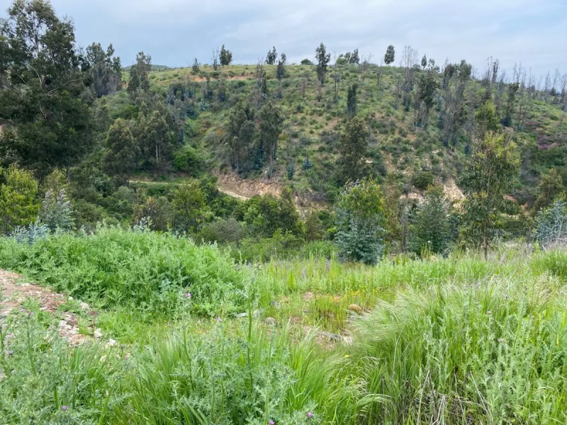Venta de Terreno Sector las Gaviotas Concon