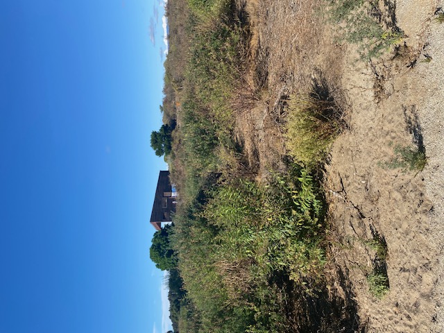 Terreno en Condominio, Ritoque, Impecable,