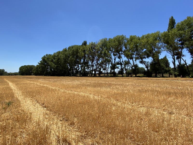 Parcela de Media Hectárea, Camino A Panimávida