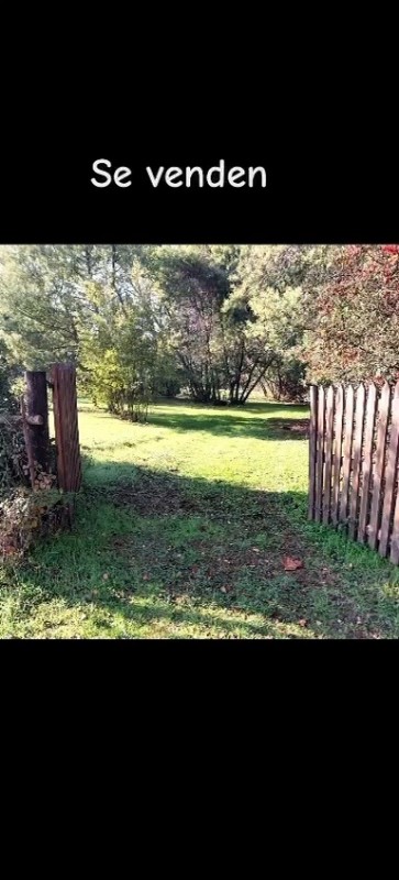 Venta de Dos Parcelas de Media Hectárea, Sector las Motas