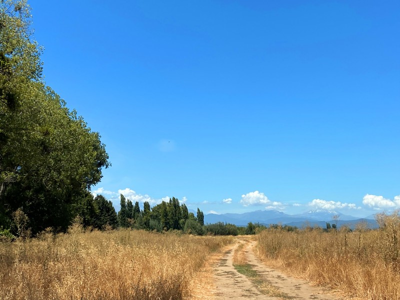 Parcela de Media Hectárea, Camino A Panimávida