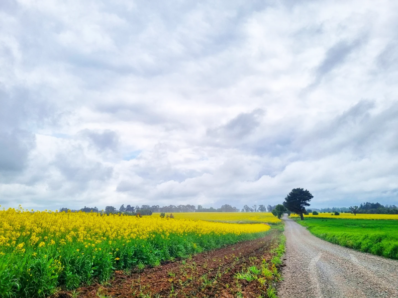 Venta de Campos en Victoria