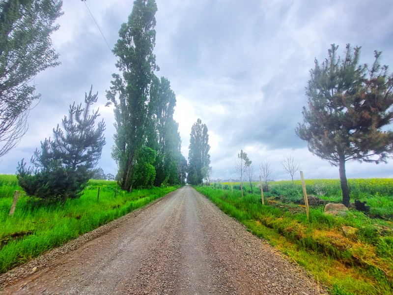 Venta de Campos en Victoria