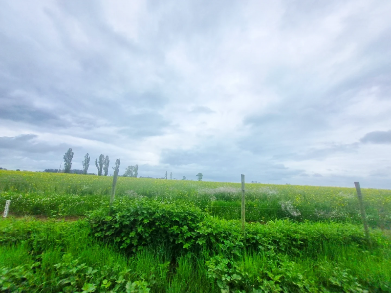 Venta de Campos en Victoria
