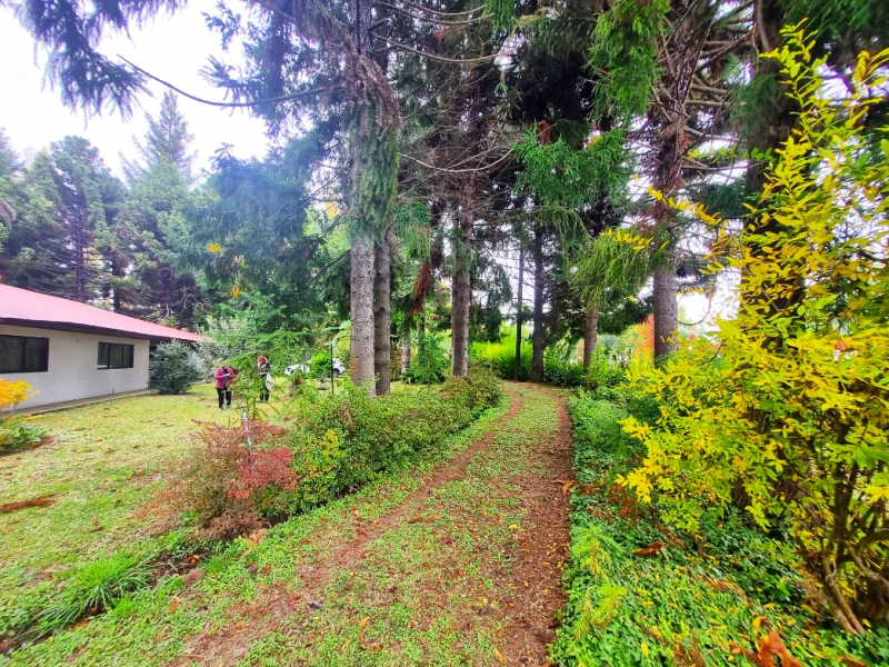Venta de Casa Camino en Peral