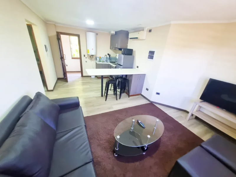 Arriendo Departamento Amoblado