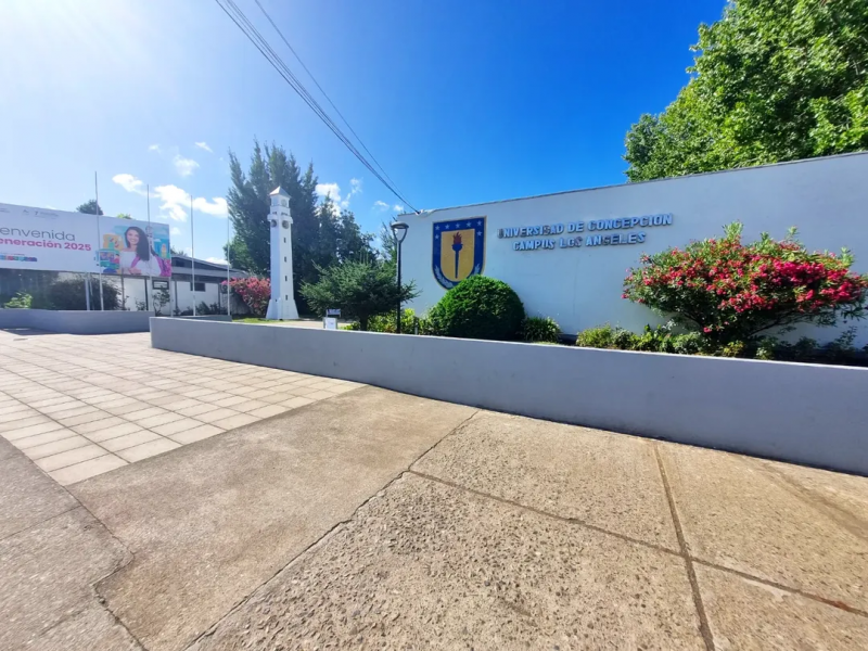 Arriendo Oficina Frente A Universidad de Concepcion