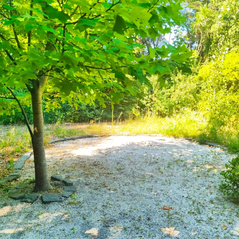 Venta de Parcela Con Casa