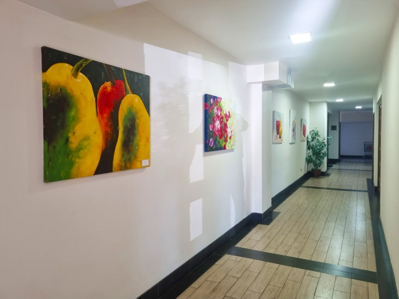 Arriendo Departamentos Cerca de Hospital, Gabriela Mistral