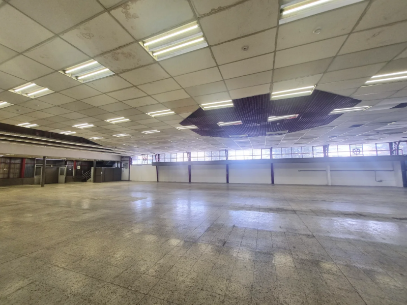 Arriendo O Venta de Casa en Tranquilo Sector