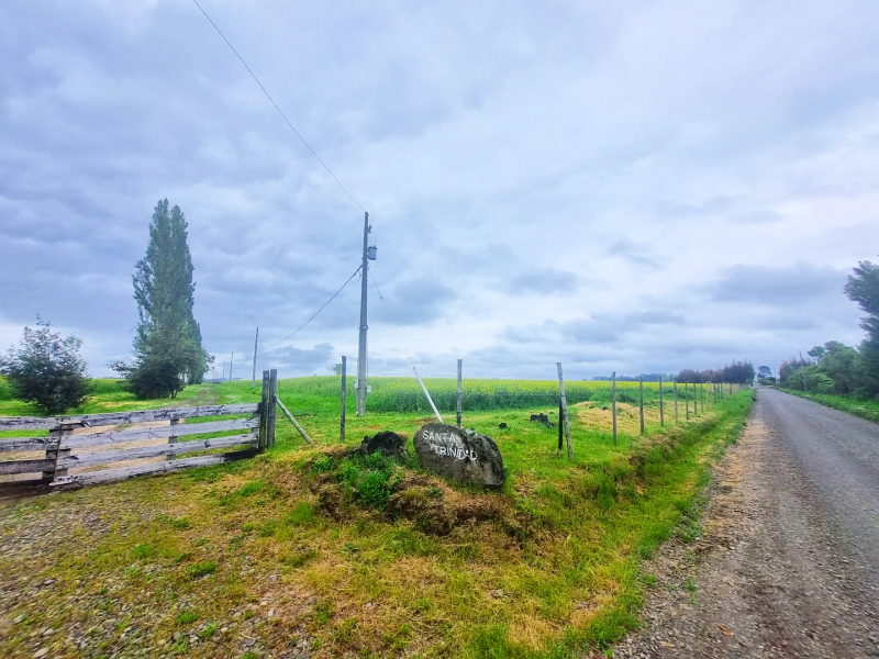 Venta de Campos en Victoria