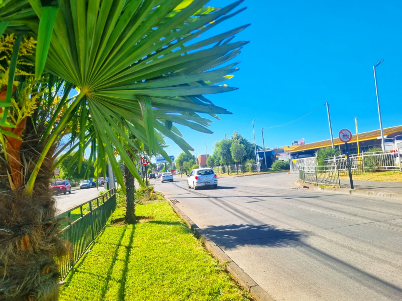 Arriendo Local Comercial Al Lado del Terminal de Buses