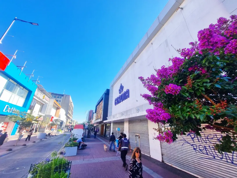 Arriendo Gran Local en el Casco Comercial, Calle Colon