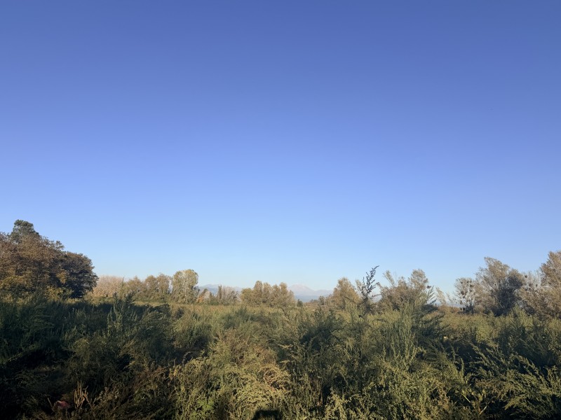 Vendo Terreno de 32 Hectareas en Longaví