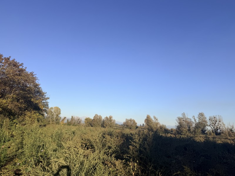 Vendo Terreno de 32 Hectareas en Longaví