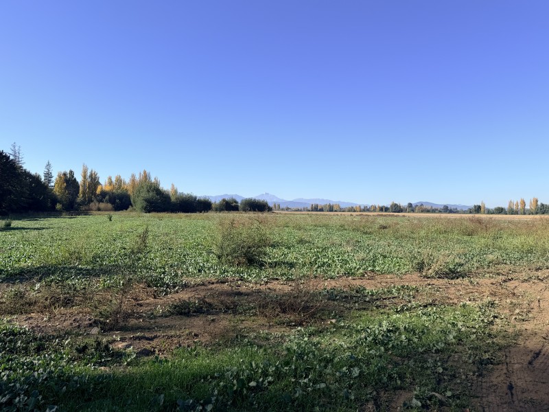 Vendo Terreno de 66 Hectáreas en Linares. Región del Maule
