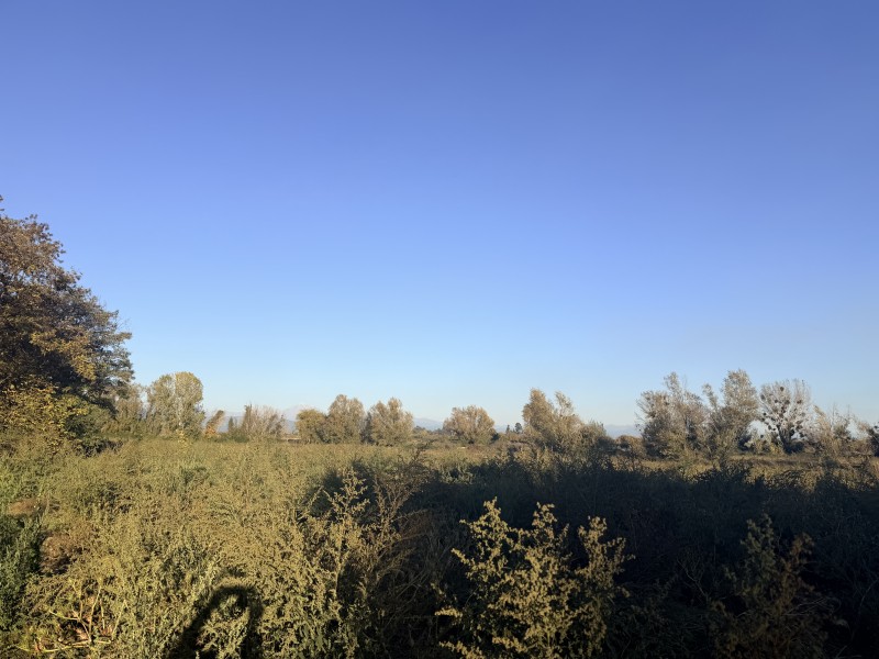 Vendo Terreno de 32 Hectareas en Longaví