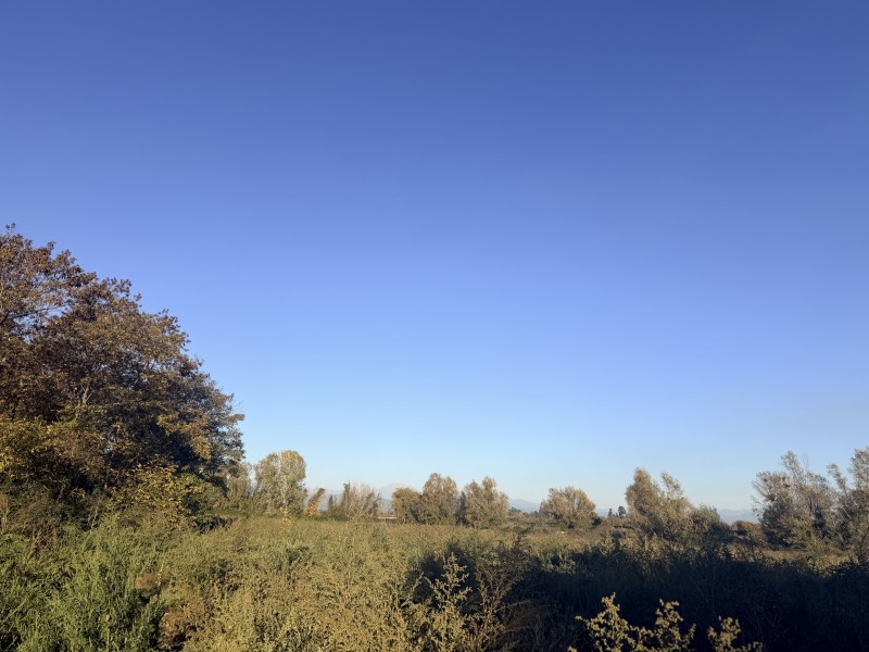 Vendo Terreno de 32 Hectareas en Longaví