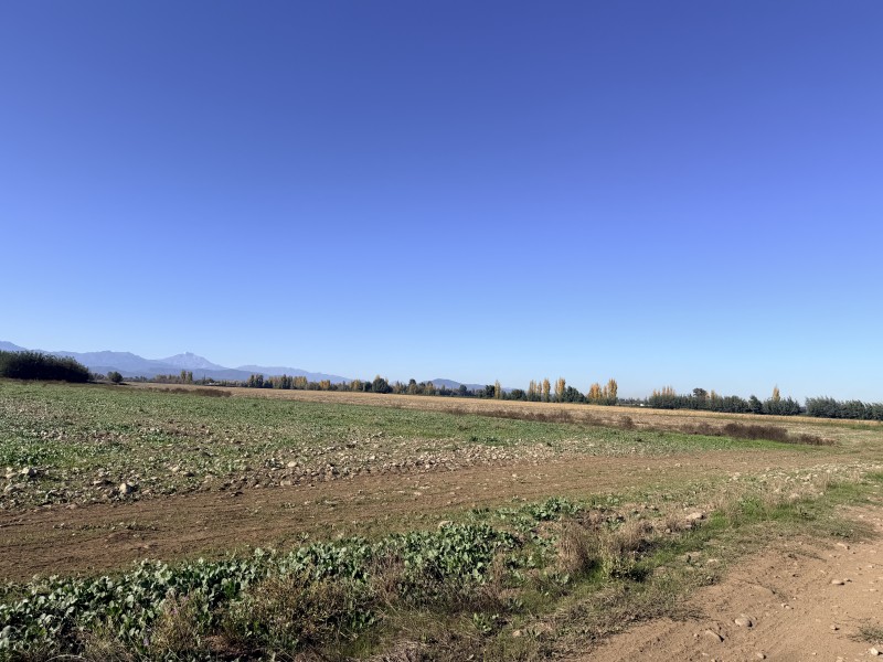 Vendo Terreno de 66 Hectáreas en Linares. Región del Maule