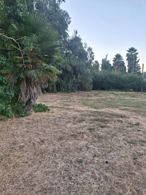 Parcela Condominio el Castaño, Laguna de Aculeo, Paine