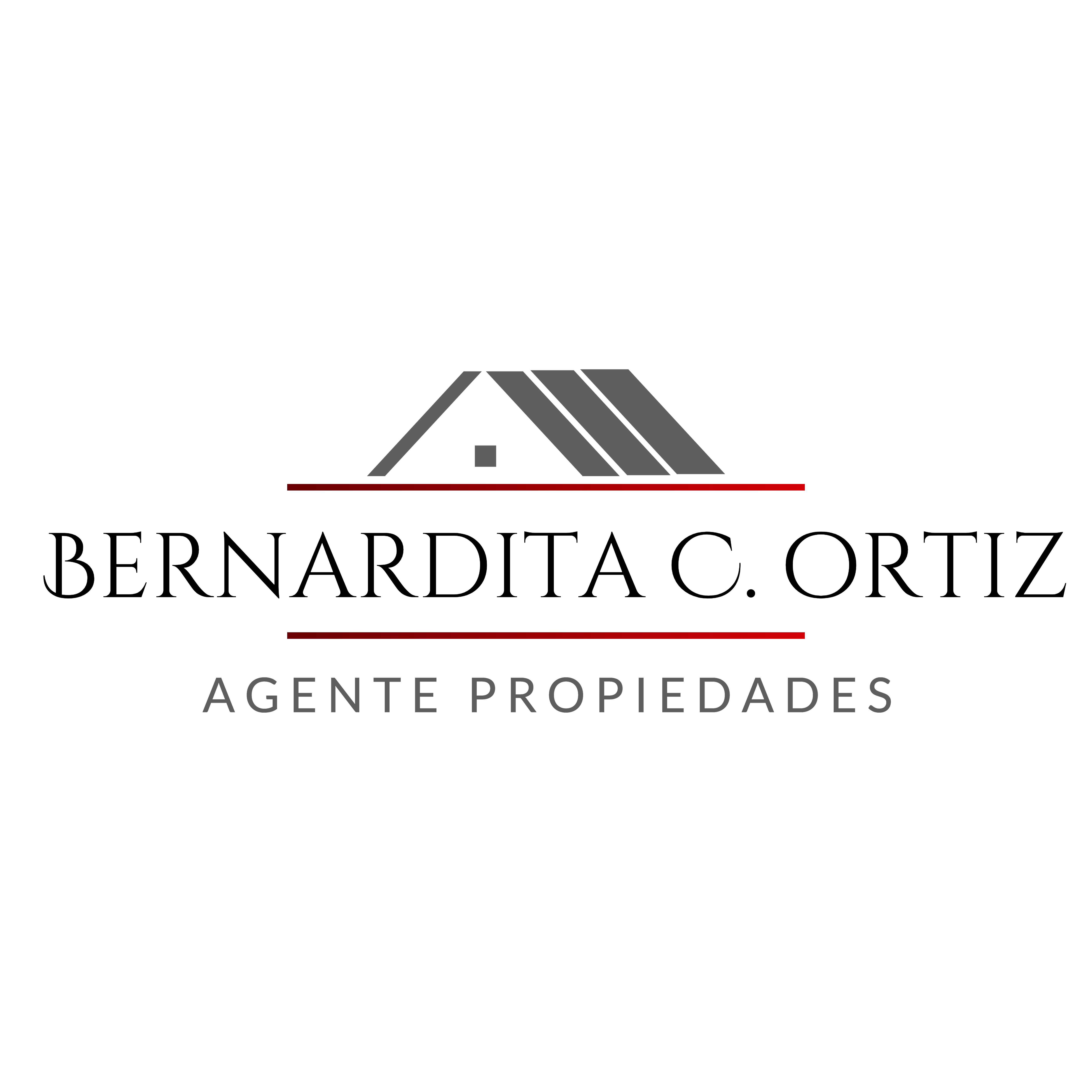 BERNARDITA ORTIZ AGENTE PROPIEDADES