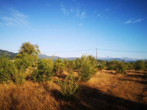SECTOR RINCÓN DE LOS MUÑOCES