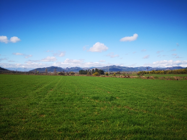 SECTOR LA RAYA