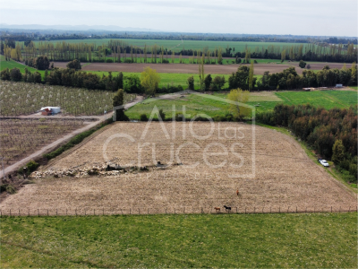 Terreno agrícola en Sector Cabrería San Javier
