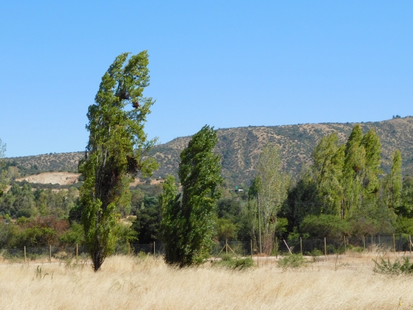 SECTOR SANTA ROSA DE LAVADEROS