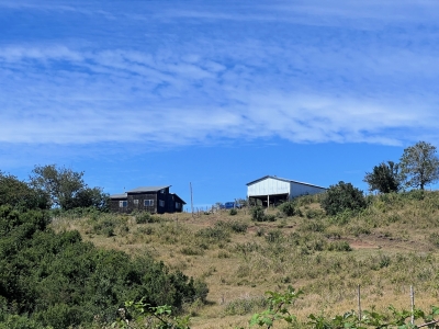 Propiedad Agrícola en Arriendo – 28 Hectáreas en Fresia