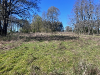 Sitio de 2000 Mts en Fresia