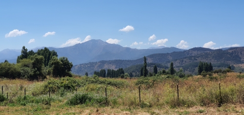 Fotografía de Hermosas Parcelas de 5.000 Mts² la Montaña de Teno Curicó.