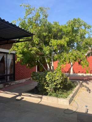 Fotografía de Venta Casa en Avenida Edmundo Flores, Sector Sur de Arica