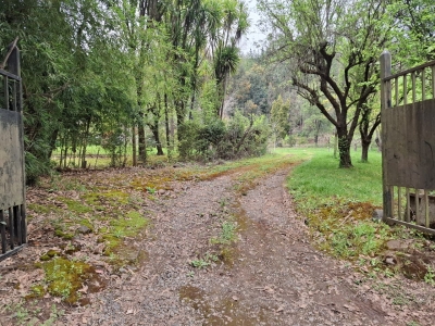 Casa Emplazada en Media Hectárea, en Pueblo de Rari