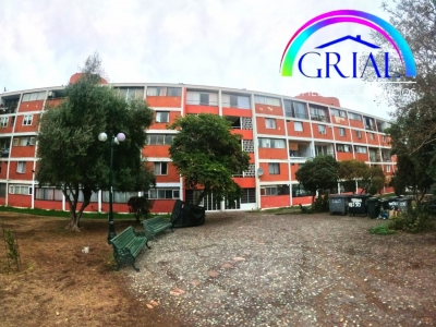 Se arrienda hermoso Departamento Dúplex en Providencia