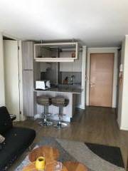 Hermoso Departamento Amoblado , Santiago